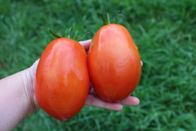  photo BurpeeSupersauce2_zps83b3e3bc.jpg